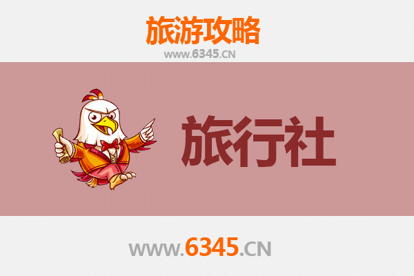 洛阳瀍河回族区本地旅行社推荐及深度游玩攻略